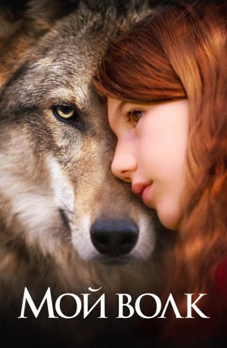 Постер к фильму Мой волк / Mystère / Vicky and Her Mystery (2021) BDRip 1080p от селезень | D