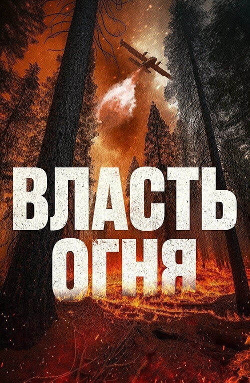 Постер к фильму Власть огня / En plein feu (2022) WEB-DLRip-AVC от DoMiNo & селезень | D